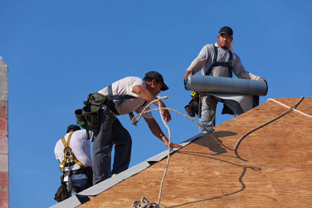 Best Roof Maintenance Services  in Lake Nacimiento, CA