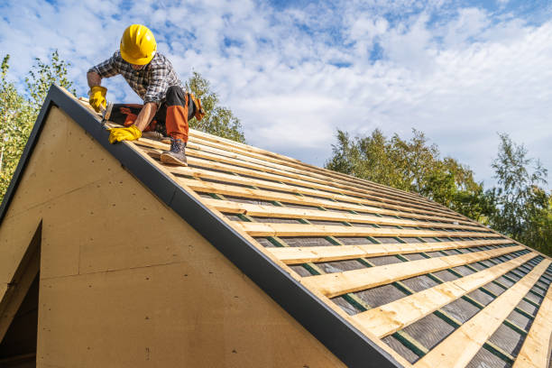 Best Roof Restoration Services  in Lake Nacimiento, CA